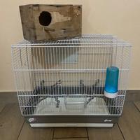 Gabbia con nido ed accessori