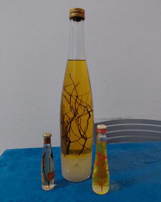 Liquore millefiori