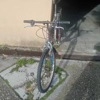 MTB biammortizzata ruota 26'