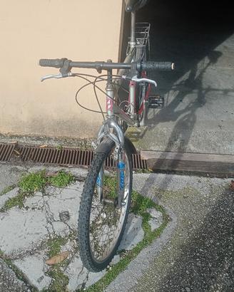 MTB biammortizzata ruota 26'