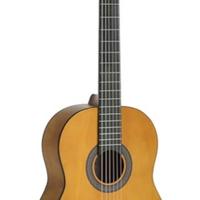 Chitarra nuova