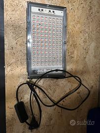 Lampada uv