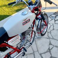 stornello+motom