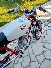 stornello+motom
