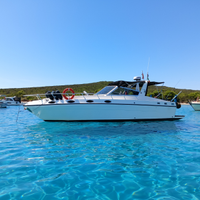 Piantoni Onda Blu