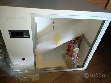 tartarughe incubatrice