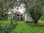 Immagine 11
