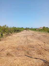 Terreno libero posizione strategica