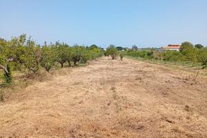 Terreno libero posizione strategica