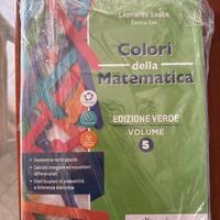 Colori della matematica 5