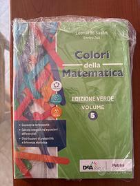 Colori della matematica 5