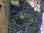 Immagine 24