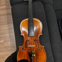 Violino