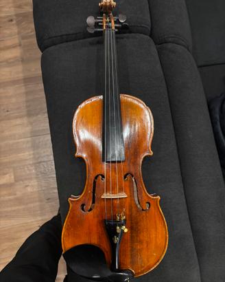 Violino