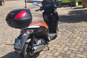 scooter malagutti password 250