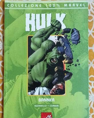 Hulk :  Banner 