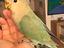 Immagine 2