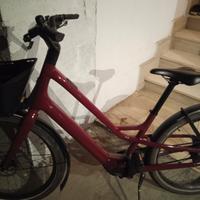Bicicletta elettrica specialized