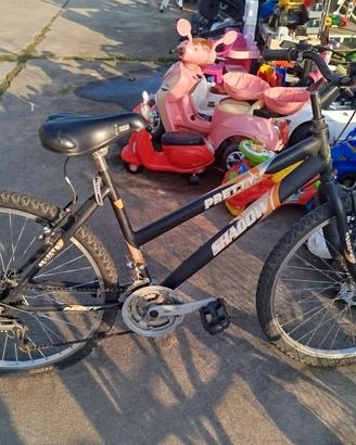 Bicicletta Pretty Shadow colore nero cerchio 26