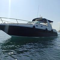 Sea ray 290