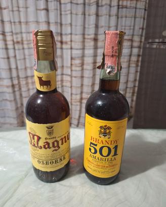 brandy spagnoli