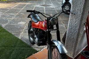 TrialMontesa