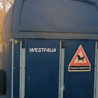 trailer westfalia cavalli 