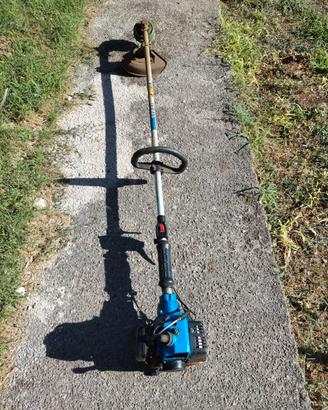 Decespugliatore