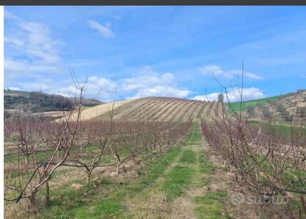 Immobile in asta di 51760 m² a Altomonte - Vista 3