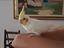 Immagine 1