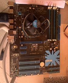 Scheda Madre Asus  P7P55LX