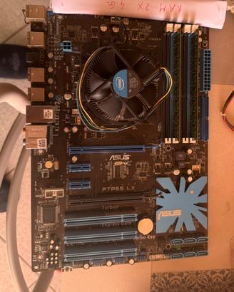 Scheda Madre Asus  P7P55LX