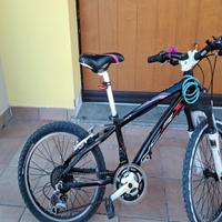 bicicletta mtb bambimo 