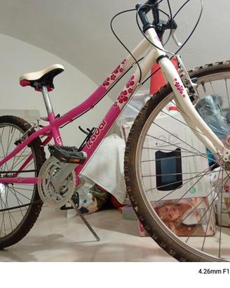 Biciclette