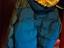Immagine 4