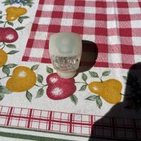 Luce LED bici ricaricabile con batteria integrata