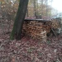 legna da ardere 