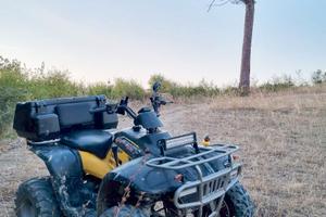 Quad Polaris Trail Boss 330