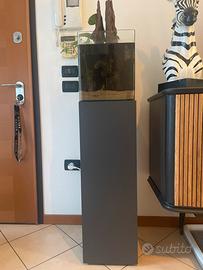 Acquario completo con pesci