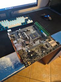 Scheda madre asus + RAM DDR4