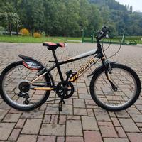 Bicicletta ragazzo/a