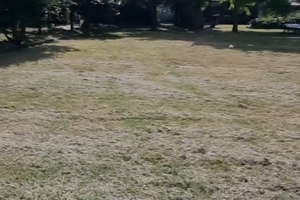 Terreno agricolo in chieri