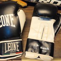 Kickboxing Leone protezione stinchi e guantoni