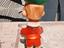Immagine 3
