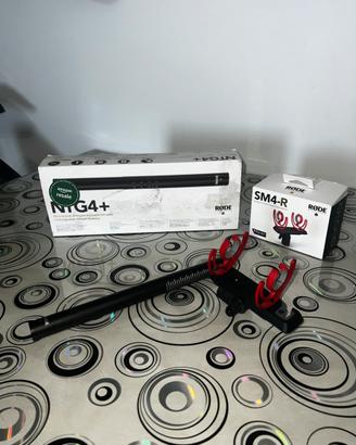 RØDE NTG4+ + Supporto SM4-R