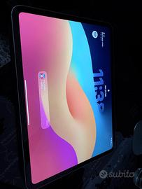 ipad pro m4 256 gb