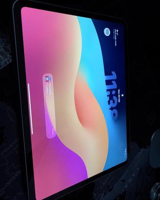 ipad pro m4 256 gb