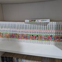 Serie Completa Dragon Ball Manga