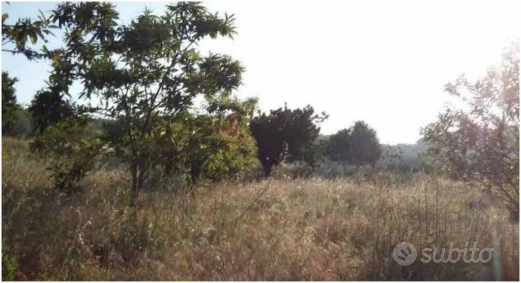 Immobile in asta di 5430 m² a Luzzi - Vista 2