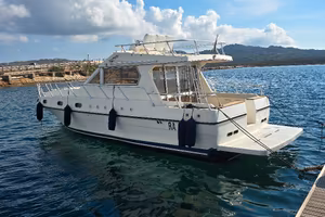 piantoni hurricane  35 fly
